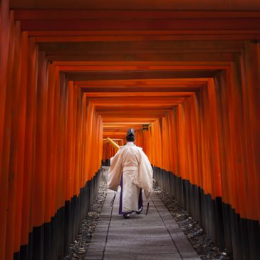 What time to go to Fushimi Inari for a photographer