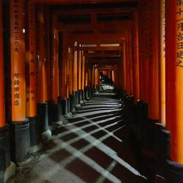 Fushimi Inari shrine at night, Kyoto. First time as a photographer.