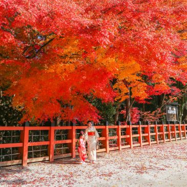 Red leaves will welcome you in Kyoto, Japan.