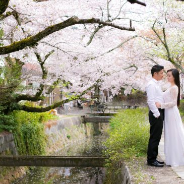 Appreciation for your help in 2017. by our photographer in Kyoto.